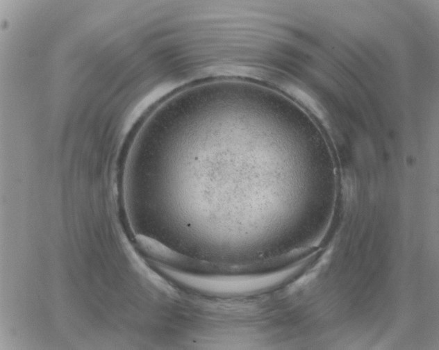 X0000065261133200602242108