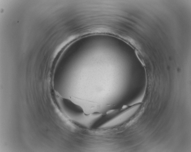 X0000065261134200602242108