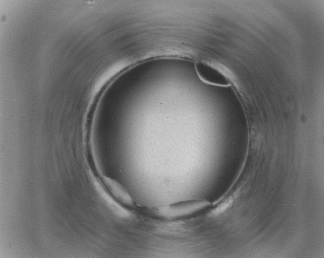 X0000065261135200602242108