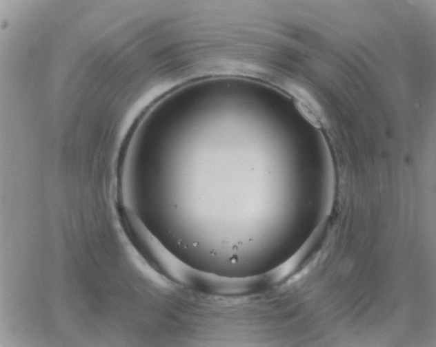 X0000065261136200602242108