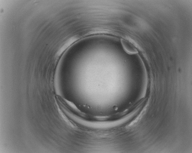 X0000065261137200602242108