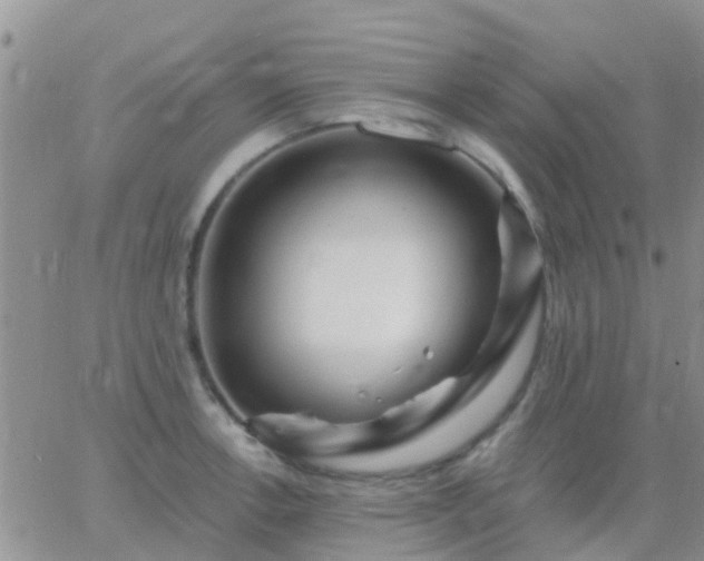 X0000065261138200602242108