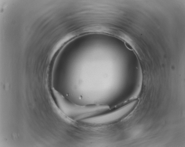 X0000065261139200602242108