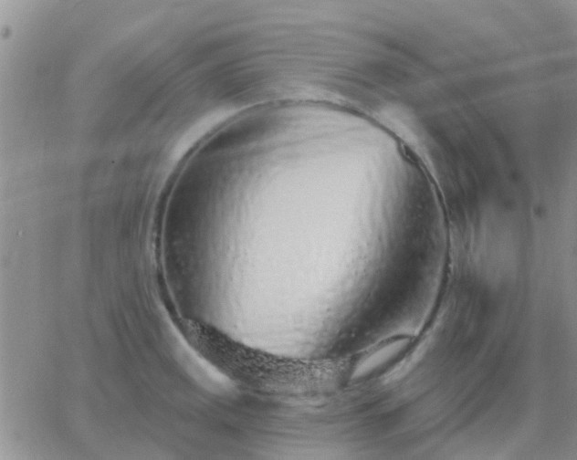 X0000065261141200602242108