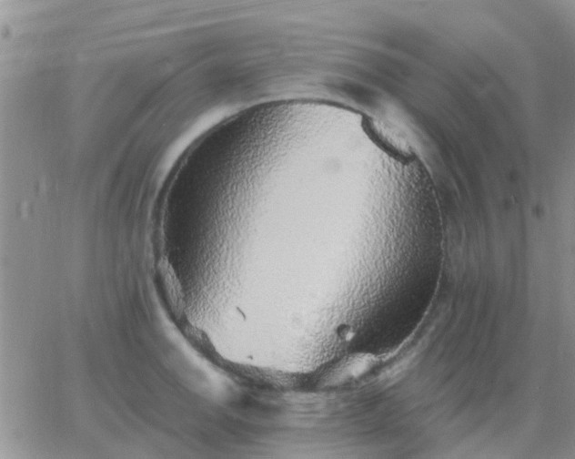 X0000065261142200602242108