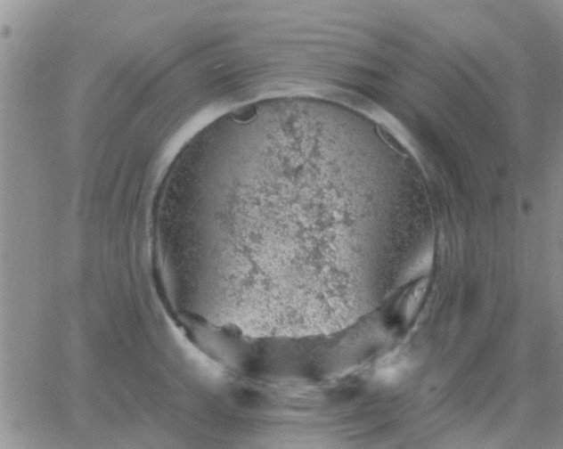 X0000065261143200602242108