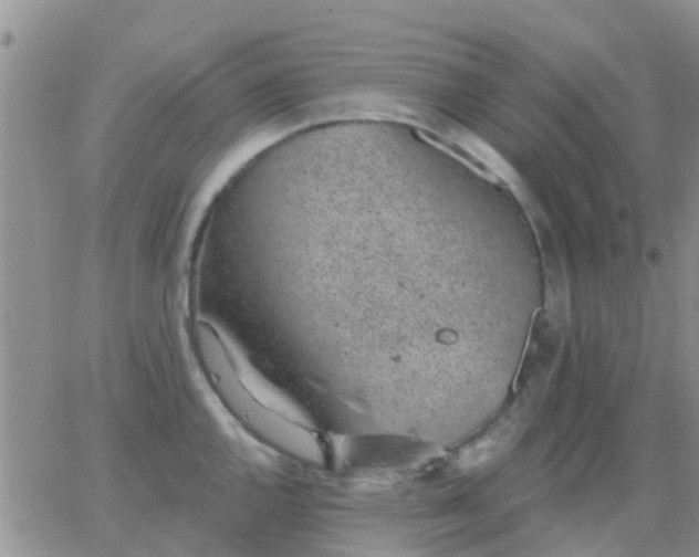 X0000065261144200602242108