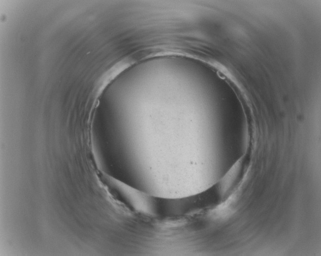 X0000065261145200602242108