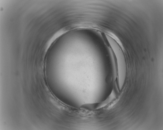 X0000065261146200602242108