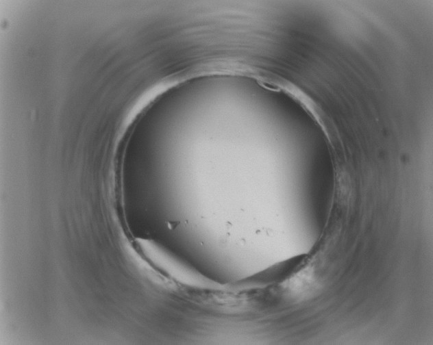 X0000065261147200602242108