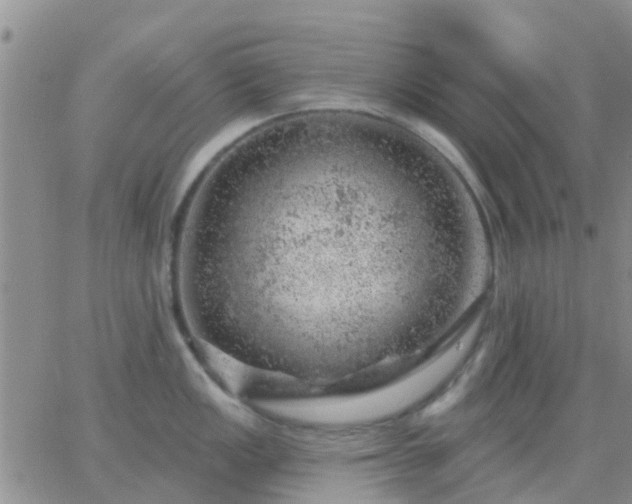 X0000065261149200602242108