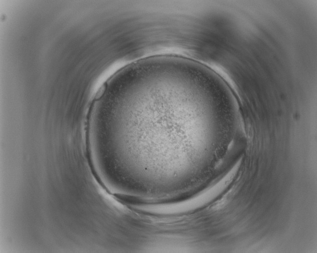 X0000065261151200602242108