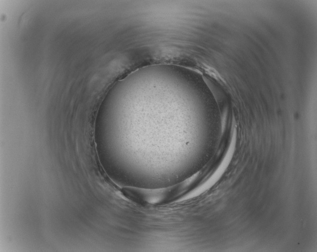 X0000065261153200602242108