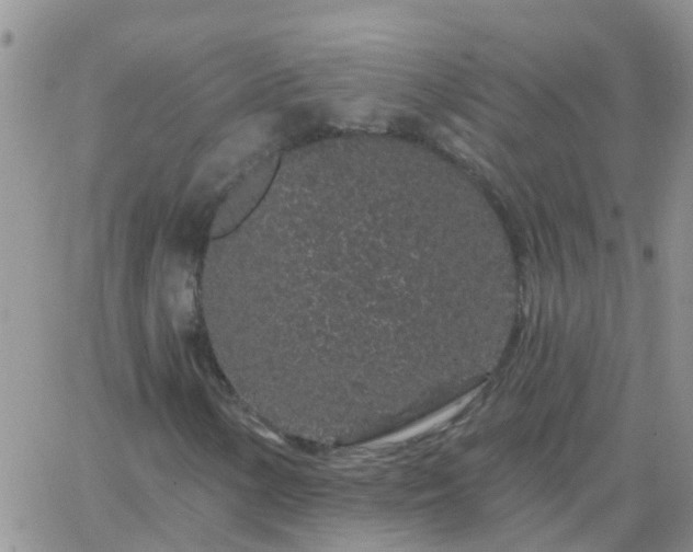 X0000065261154200602242108