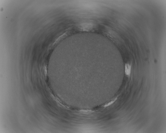 X0000065261155200602242108