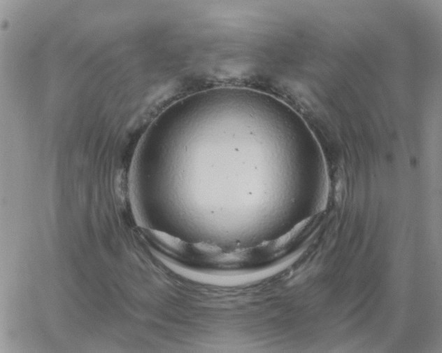 X0000065261156200602242108