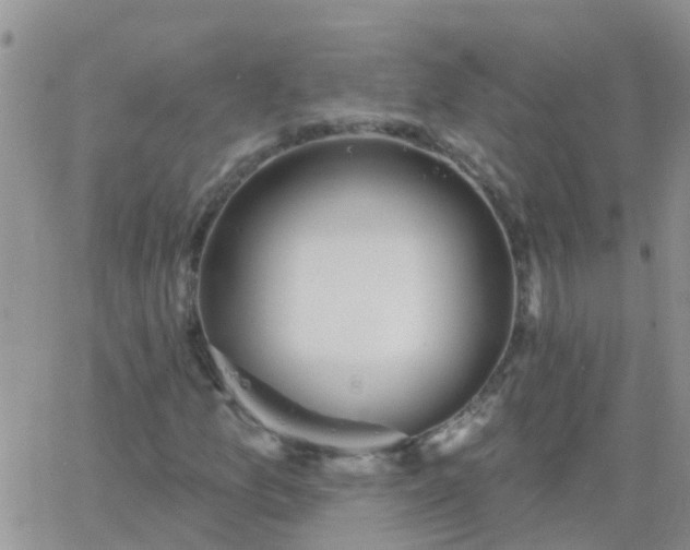 X0000065261157200602242107