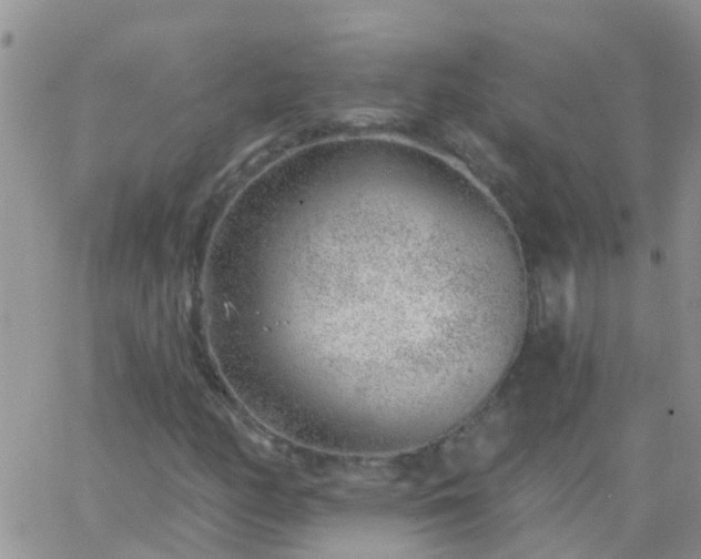 X0000065261158200602242107