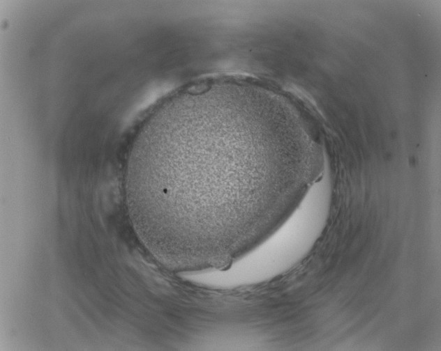 X0000065261159200602242107