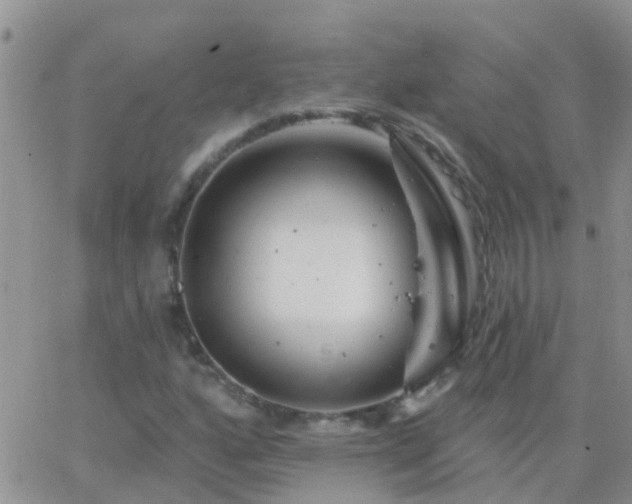 X0000065261160200602242107