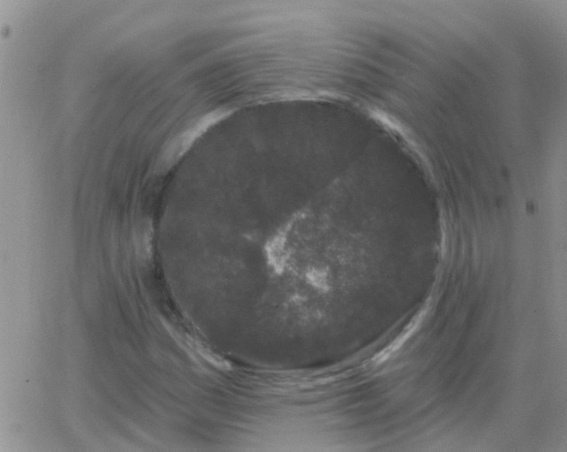 X0000065261161200602242107