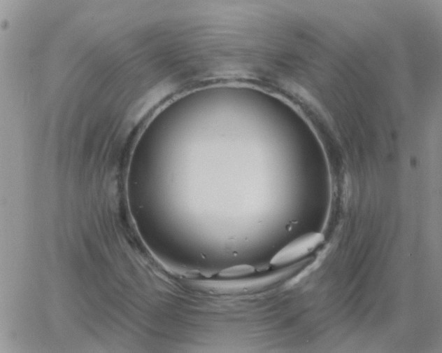 X0000065261162200602242107