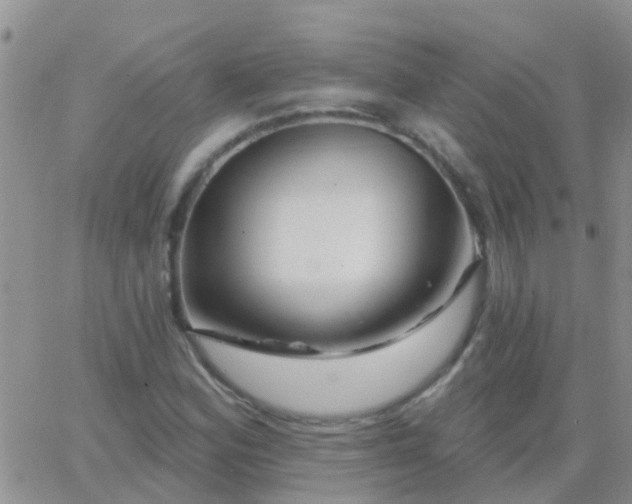 X0000065261164200602242107