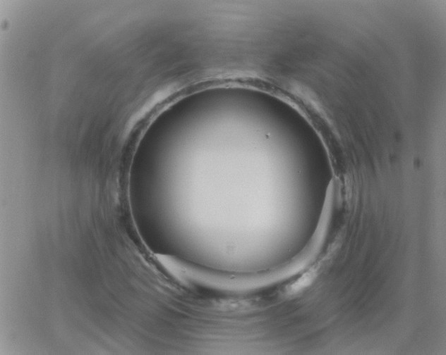 X0000065261165200602242107