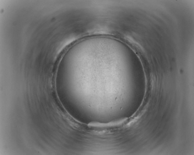 X0000065261166200602242107