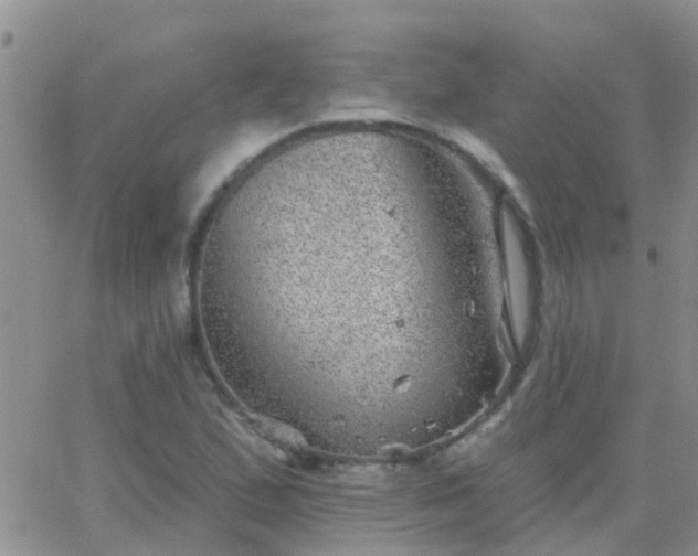 X0000065261167200602242107