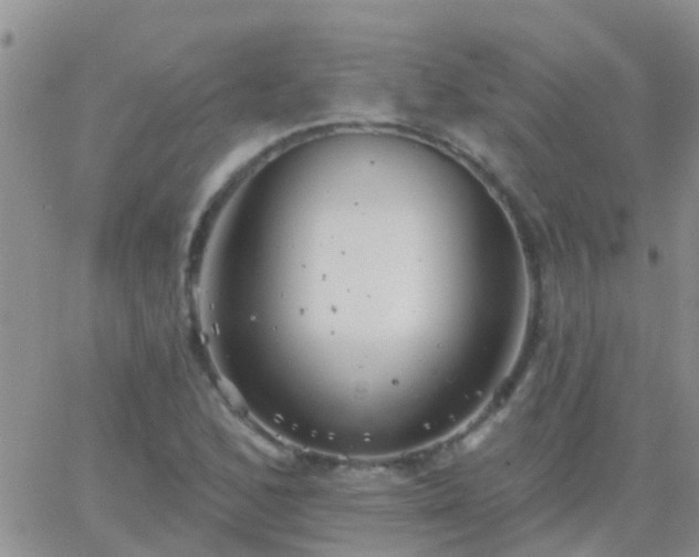 X0000065261168200602242107