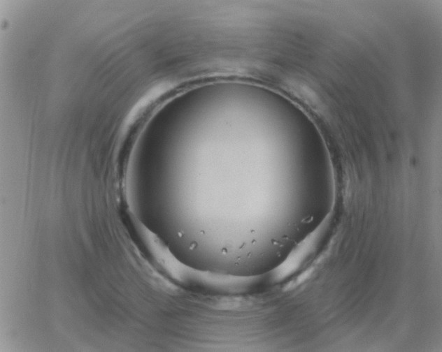 X0000065261172200602242107