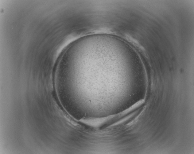 X0000065261174200602242107