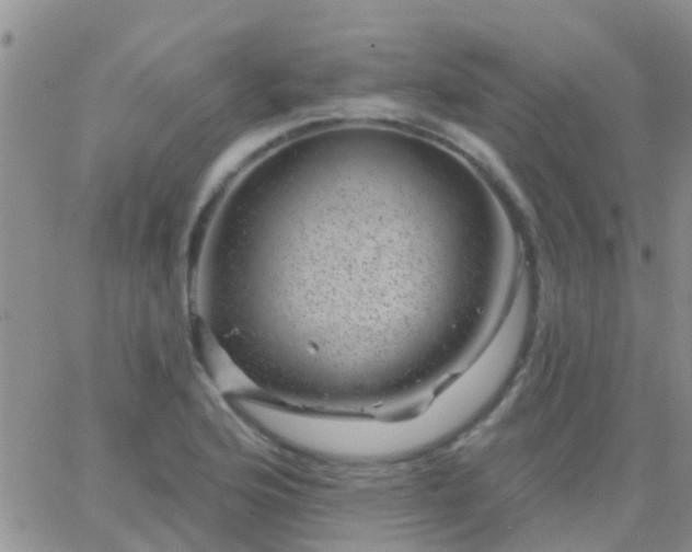 X0000065261176200602242107