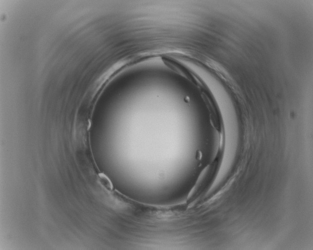 X0000065261177200602242107