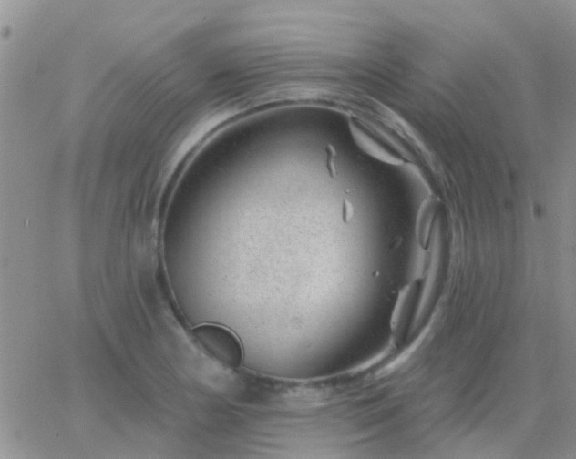 X0000065261178200602242107