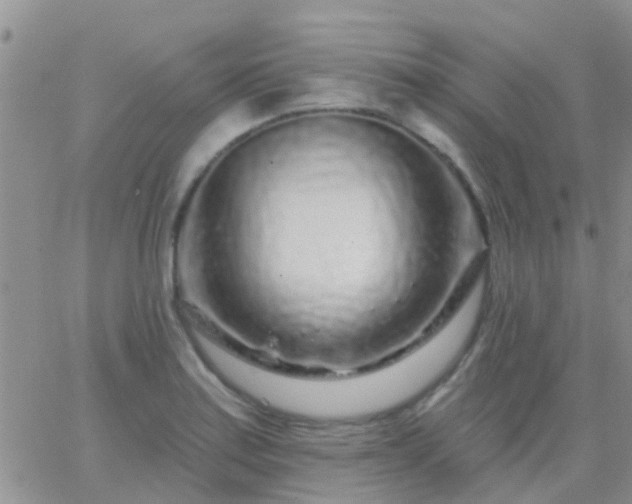 X0000065261179200602242107