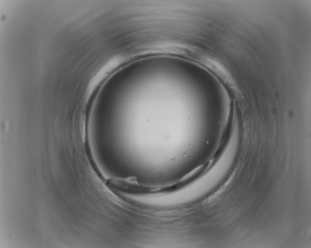 X0000065261180200602242107