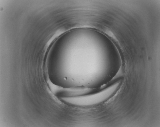 X0000065261181200602242107