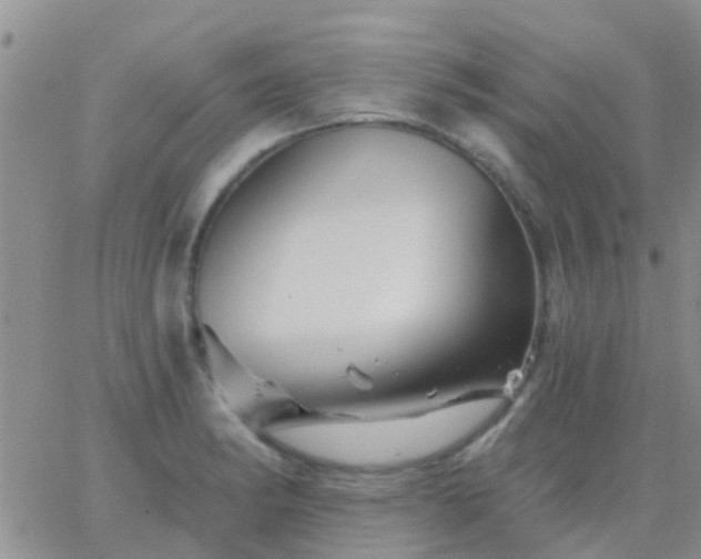 X0000065261182200602242107