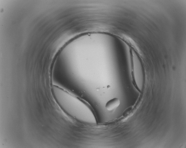 X0000065261184200602242107