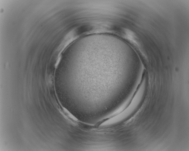 X0000065261185200602242107