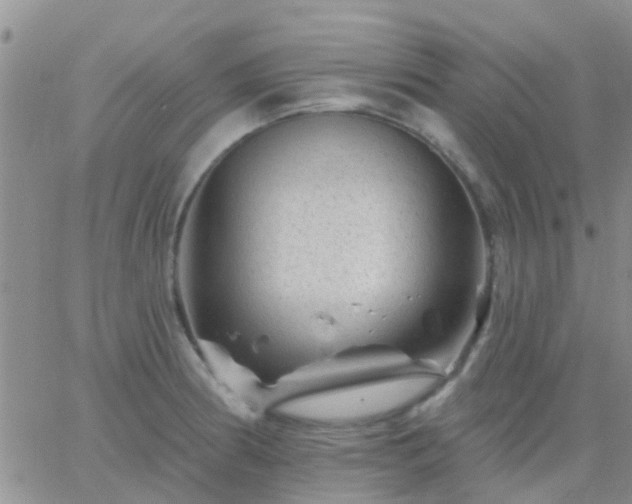 X0000065261186200602242107