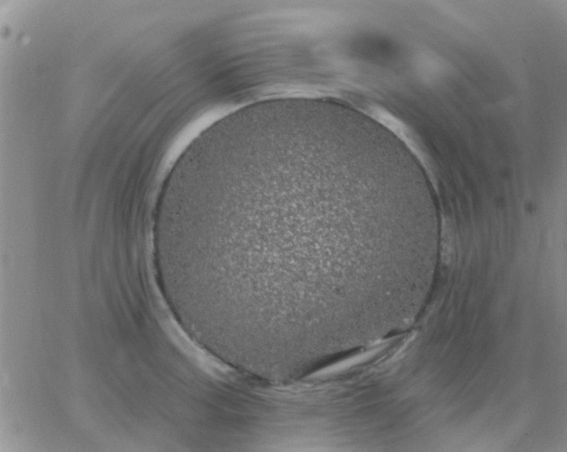 X0000065261187200602242107