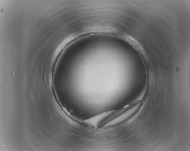 X0000065261188200602242107