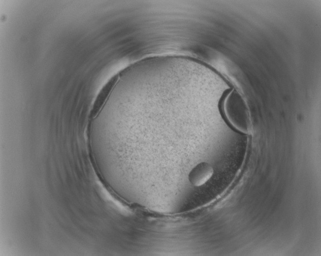 X0000065261189200602242107