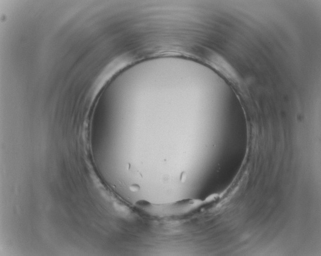 X0000065261190200602242107