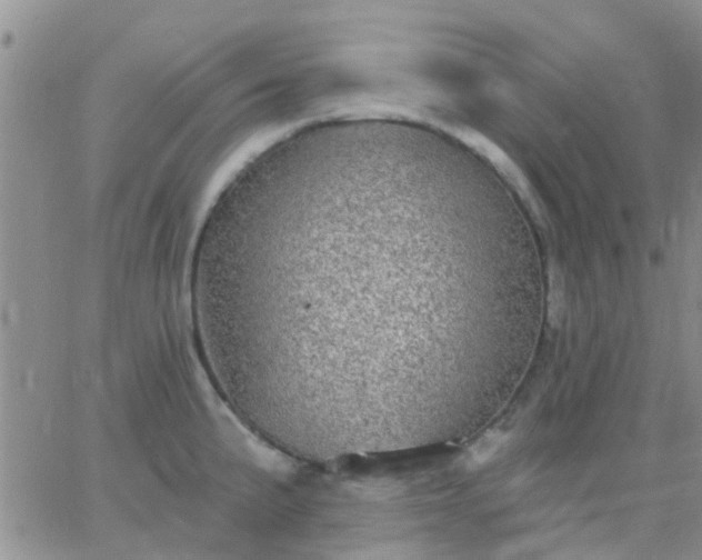 X0000065261191200602242107