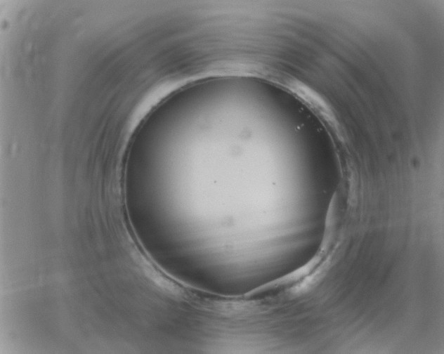 X0000065261192200602242107