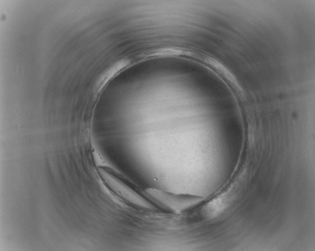 X0000065261193200602242107